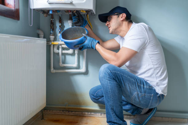 Best Plumbing Services Near Me  in Lake Helen, FL